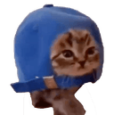 CapCat